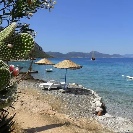 بيت ضيافة Saranda 2*