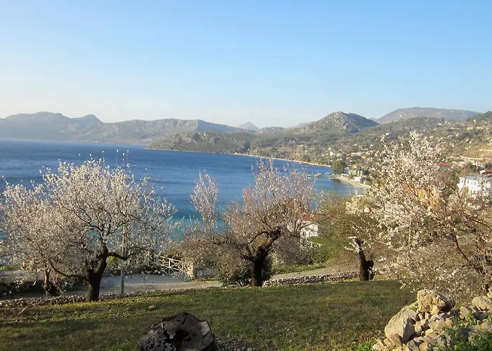 Saranda 2*