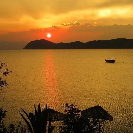 Saranda Guest house 2*