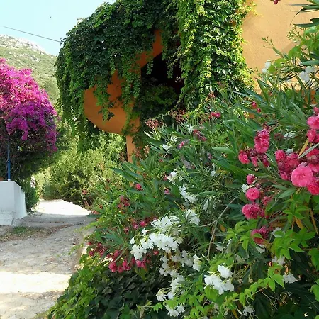 Guest house Saranda