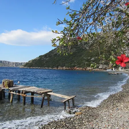 Guest house Saranda Sogut (Aegean)