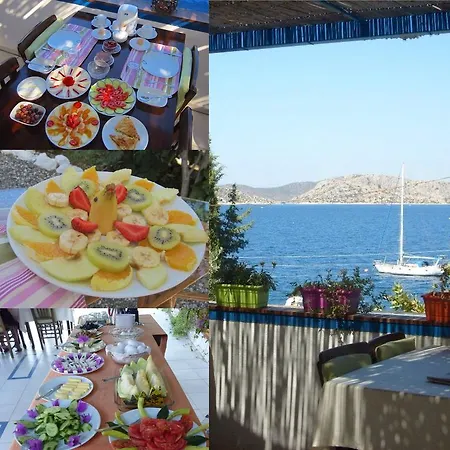 Saranda Sogut