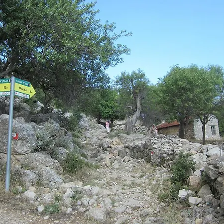 Guest house Saranda Sogut (Aegean)