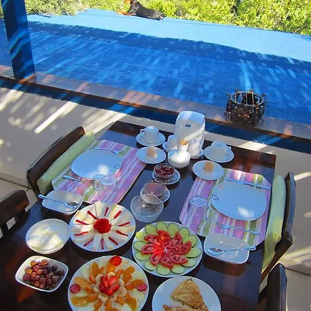 Guest house Saranda 2*