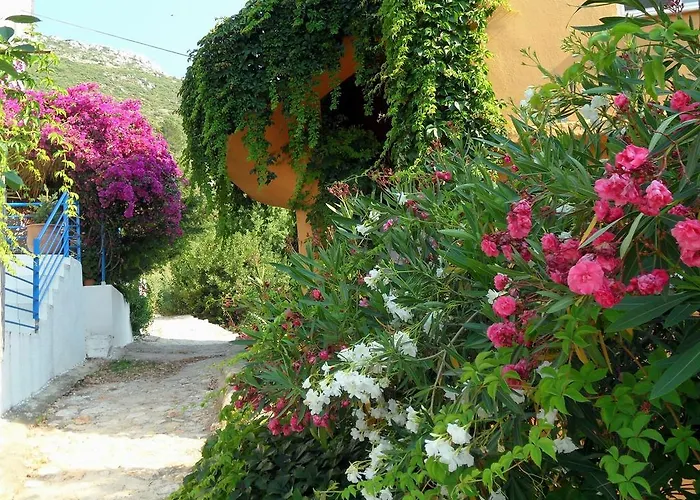 Maison d'hôtes Saranda